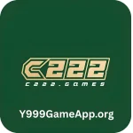 C222 Game