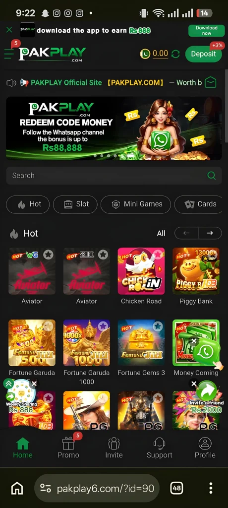 PAKPLAY Game