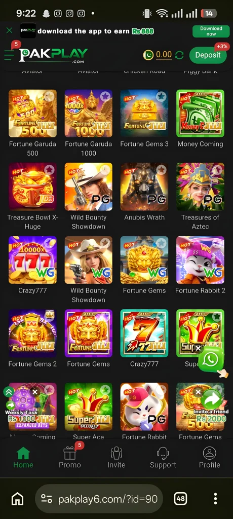 PAKPLAY Game